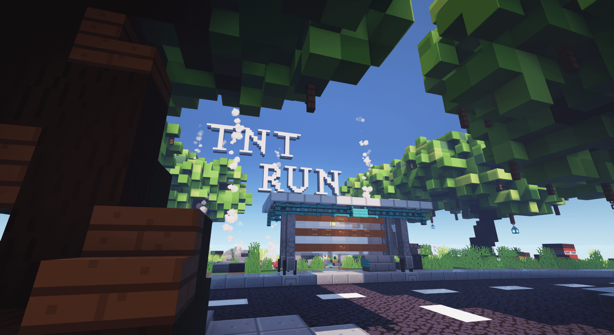 Servidor TNT Run